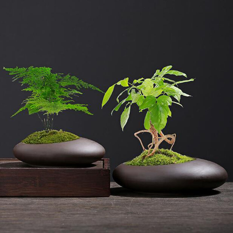Tagine Clay Pot - Vaso de plantas em argila roxa,